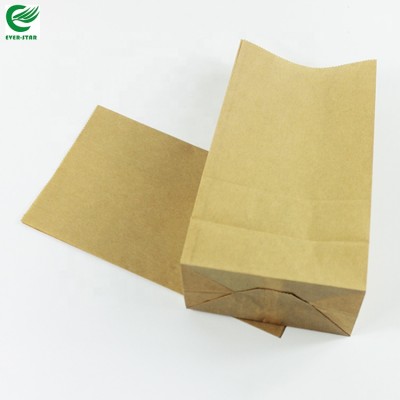 OEM Order Food Grade Plastic Lined Waterproof Kraft Paper Bag