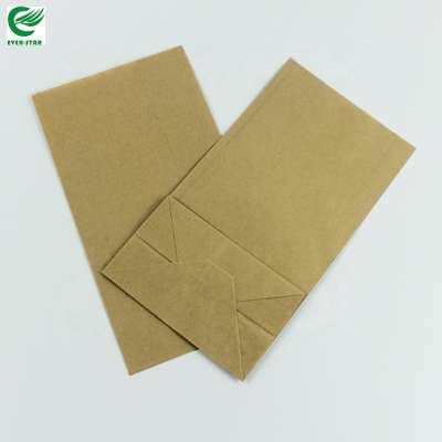 Factory Customized Hot Sale Plastic Food Grade Brown Paper Bag